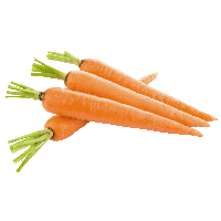 fruit.png