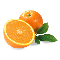 fruit.png
