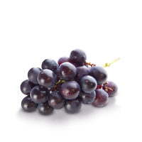 fruit.png