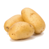 fruit.png