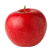 fruit.png