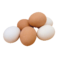 fruit.png